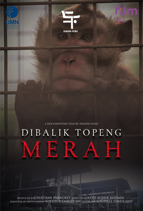 Movie poster for Di Balik Topeng Merah