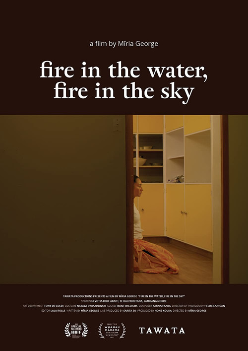 Movie poster for fire in the water, fire in the sky (2021)