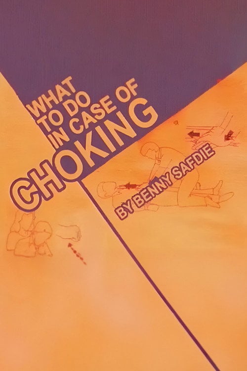 Movie poster for What To Do When Choking (2007)