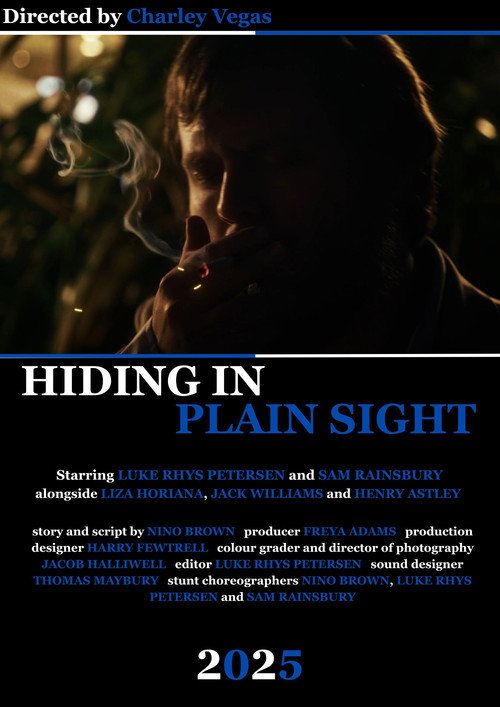 Movie poster for Hiding in Plain Sight (2025)