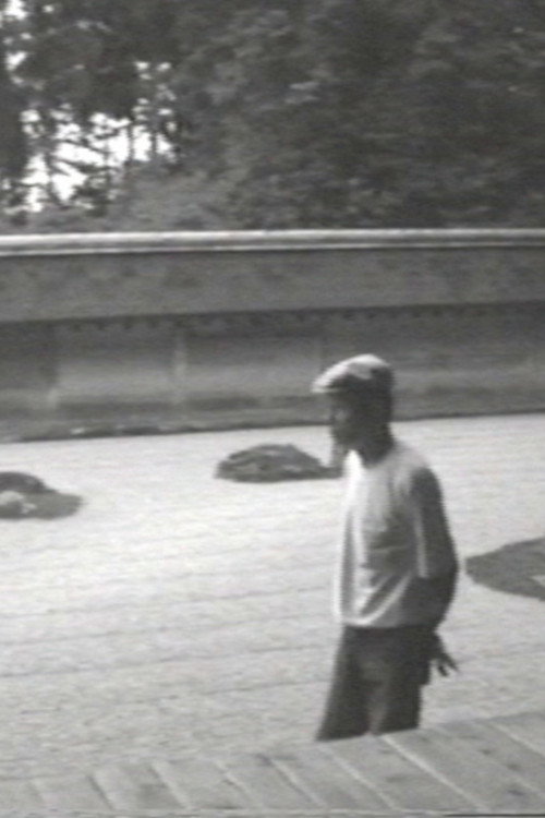 Movie poster for The Making of MA in Ryoan-ji (1989)