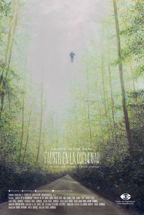 Movie poster for Fausto in the Dark (2017)