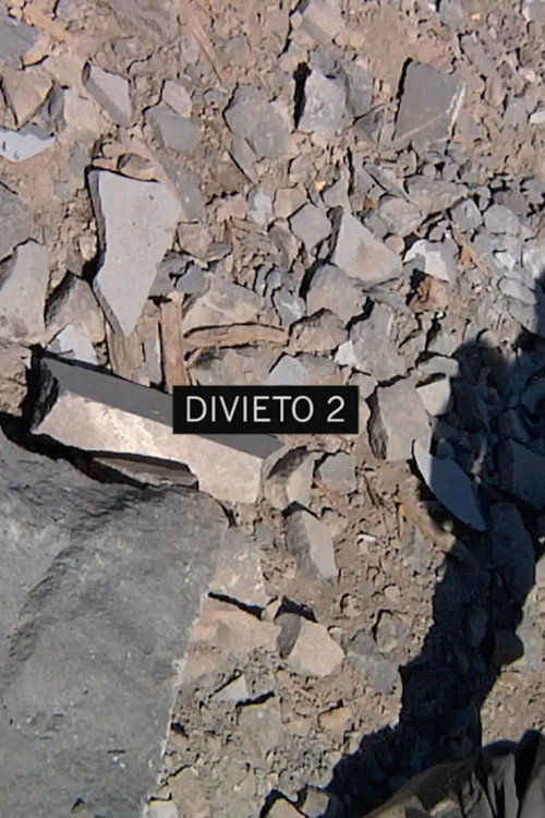 Movie poster for Divieto 2 (2018)