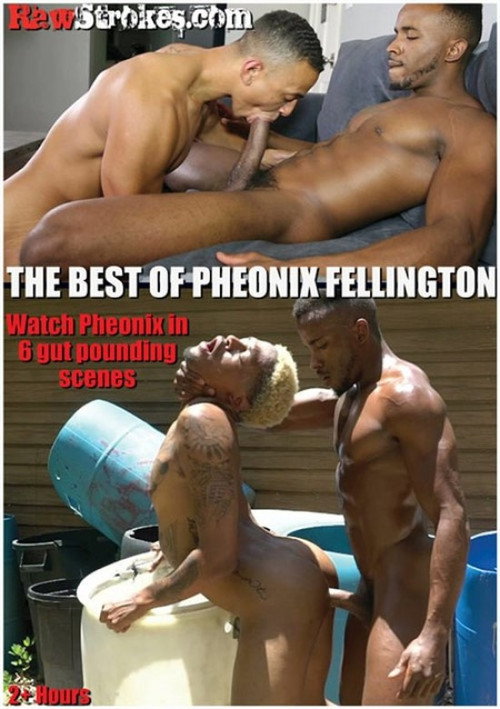Movie poster for The Best of Pheonix Fellington (2020)