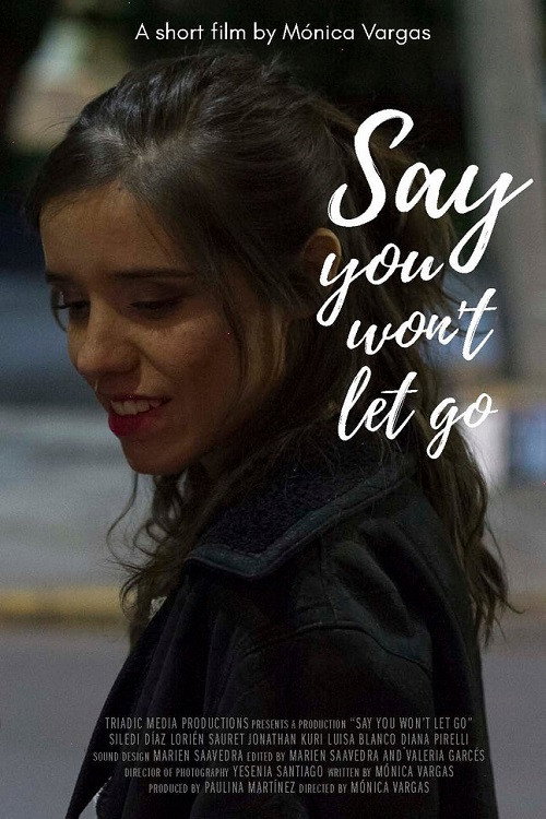 Movie poster for Say You Won't Let Go