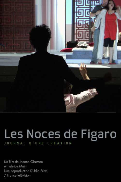 Movie poster for The Marriage of Figaro, diary of a creation (2013)