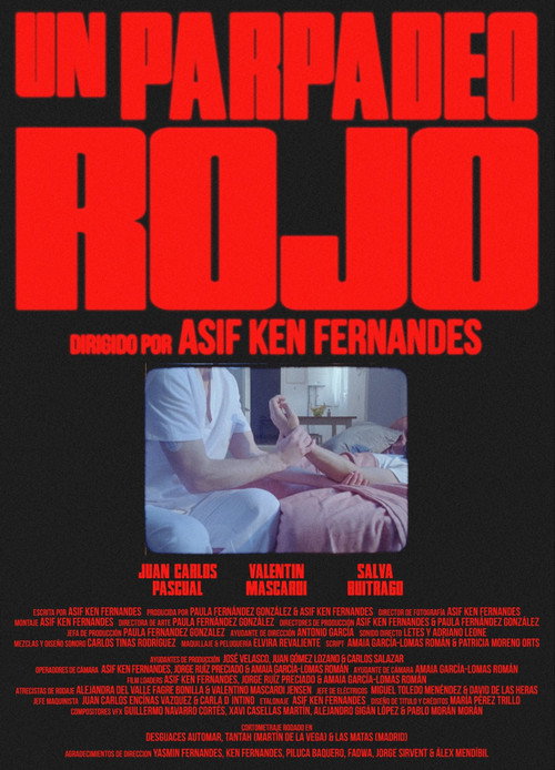 Movie poster for Red Light Spells Danger (2024)