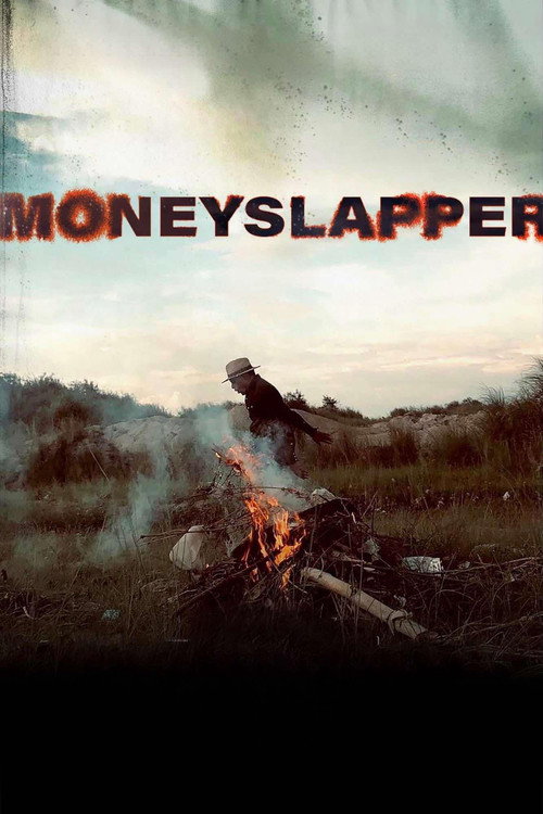 Movie poster for Moneyslapper (2024)