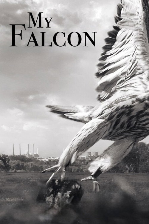 Movie poster for My Falcon (2023)