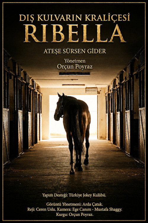 Movie poster for Dış Kulvarın Kraliçesi: Ribella
