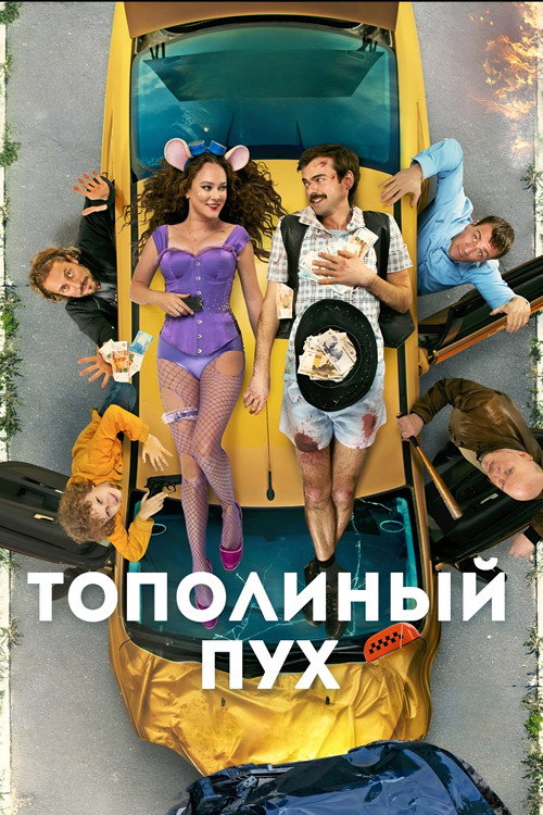 Movie poster for Poplar Fluff (2024)
