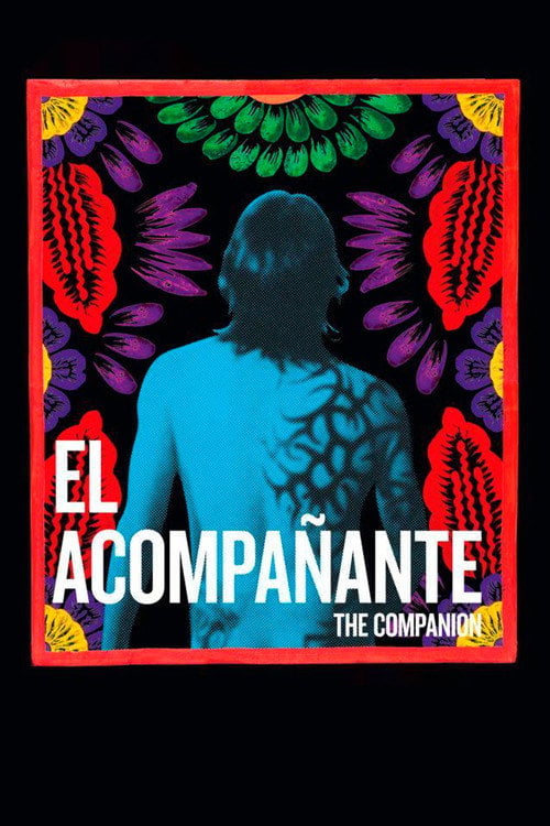 Movie poster for The Companion (2012)