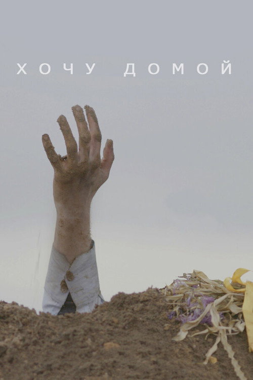 Movie poster for I Want to Go Home (2020)