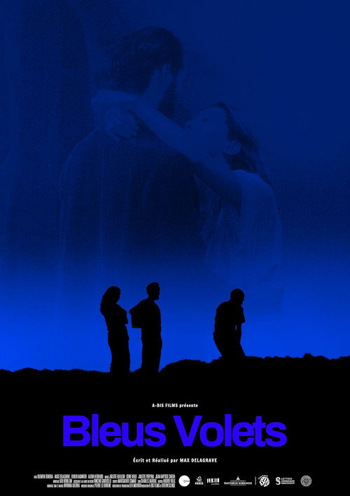 Movie poster for Bleus volets (2024)