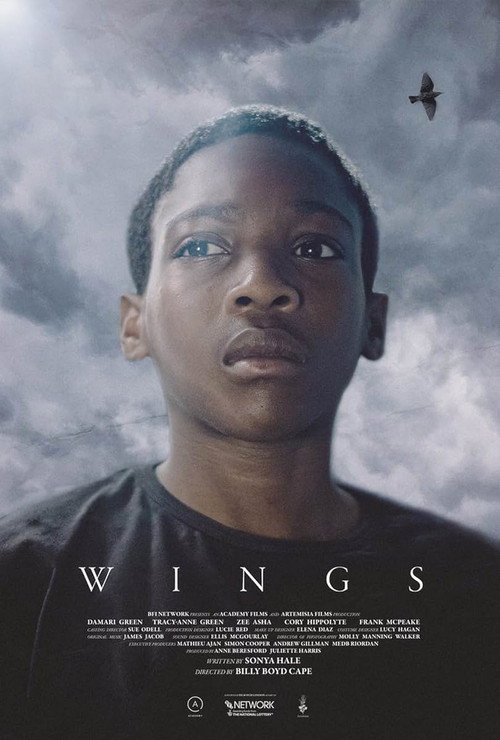 Movie poster for Wings (2022)