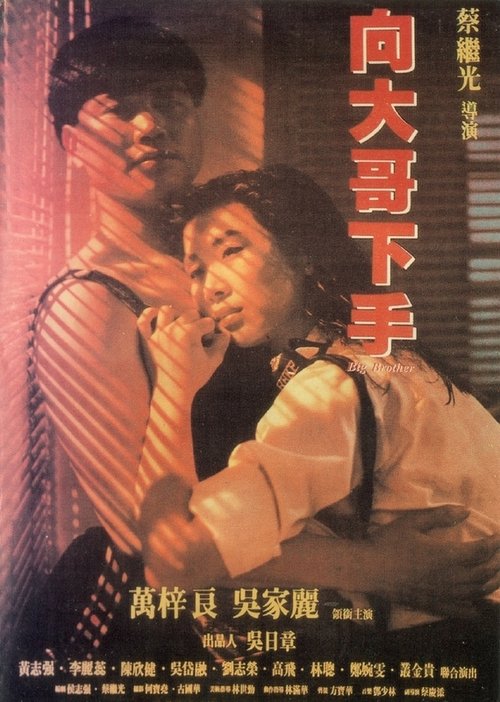 Movie poster for Big Brother (1990)