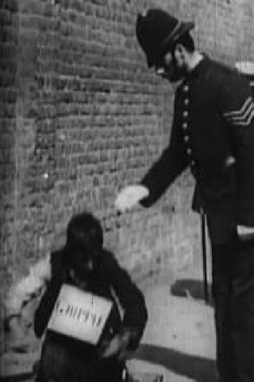 Movie poster for The Beggar's Deceit (1900)