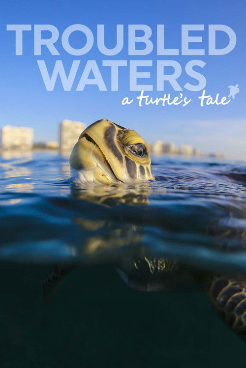 Movie poster for Troubled Waters: A Turtle's Tale (2019)