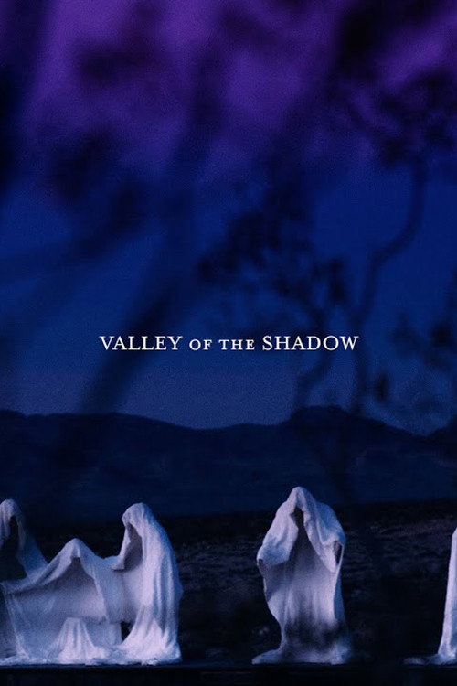 Movie poster for Valley of the Shadow (2021)
