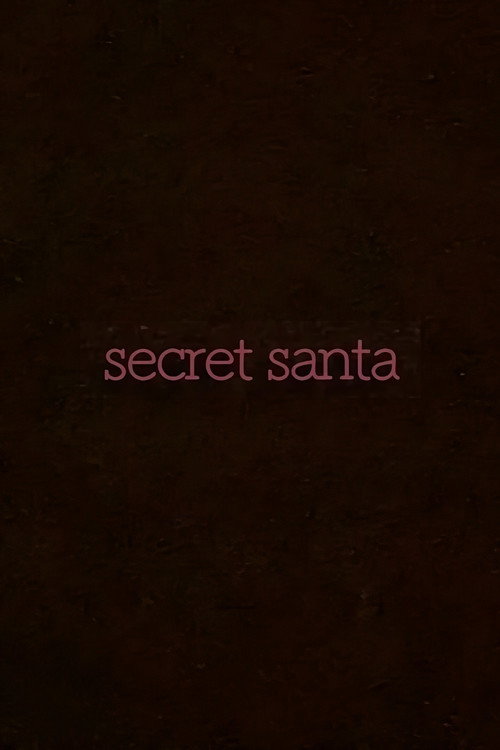 Movie poster for secret santa (2023)