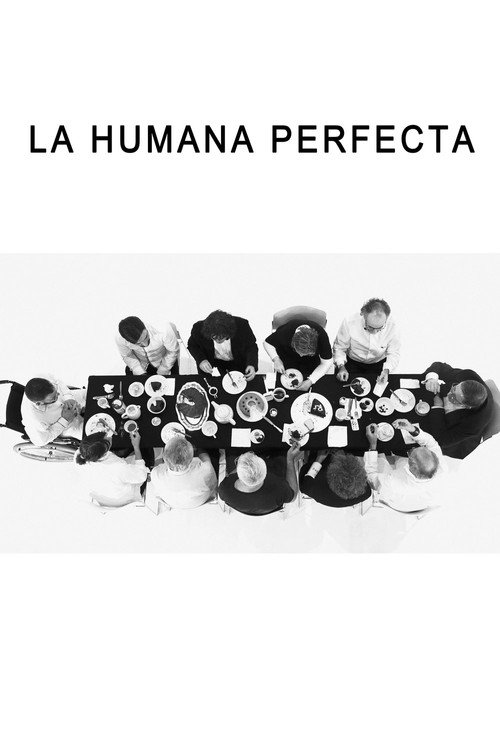 Movie poster for The Perfect Human (2018)