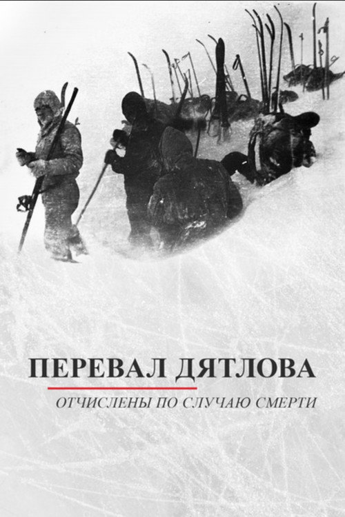 Movie poster for Перевал Дятлова. Отчислены по случаю смерти (2013)
