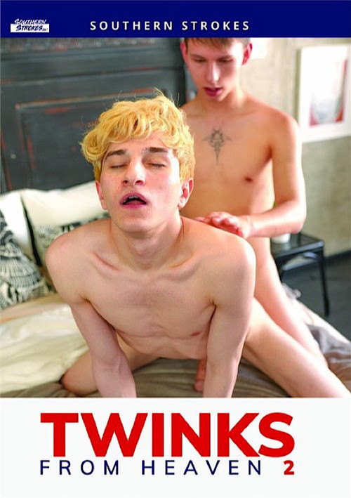 Movie poster for Twinks from Heaven 2 (2024)
