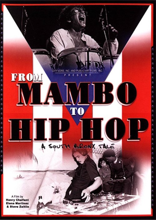 Movie poster for From Mambo to Hip Hop (2007)