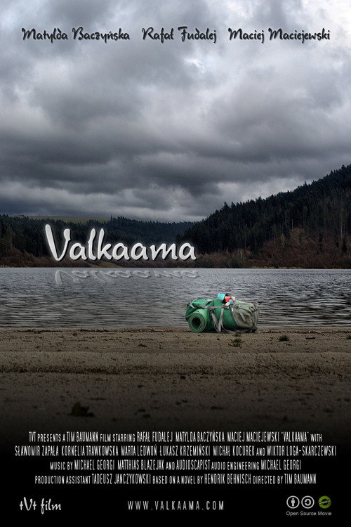 Movie poster for Valkaama (2010)