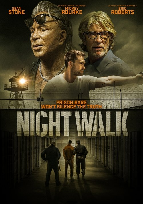 Movie poster for Night Walk (2019)