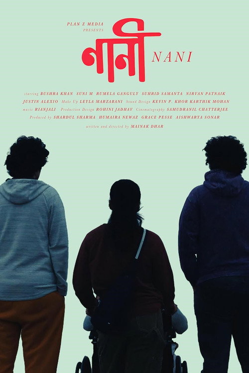 Movie poster for Nani (2025)
