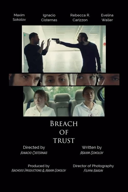 Movie poster for Breach of Trust (2025)