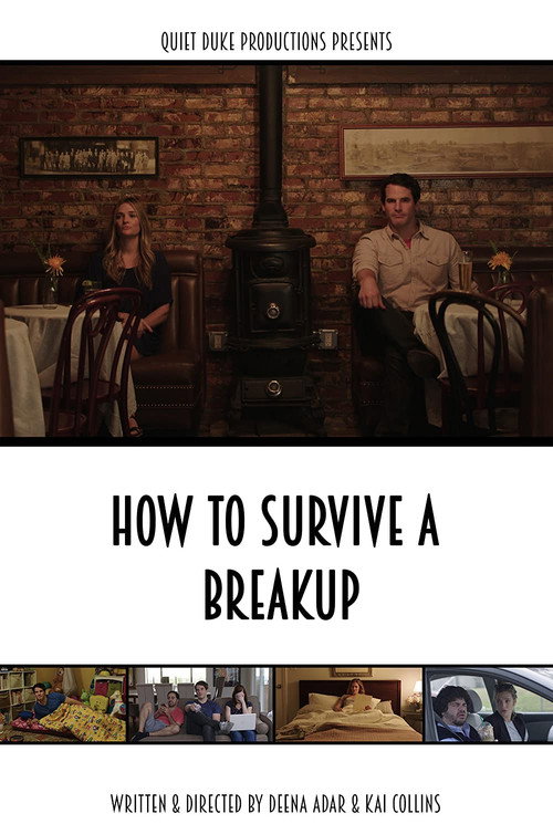 Movie poster for How to Survive a Breakup (2015)