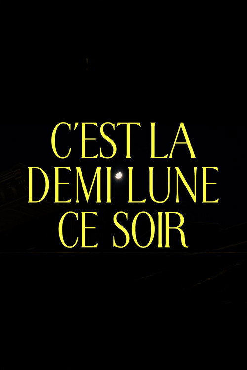 Movie poster for C'est la demi lune ce soir (2024)