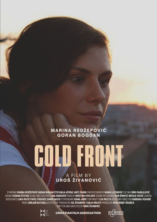 Movie poster for Cold Front (2009)