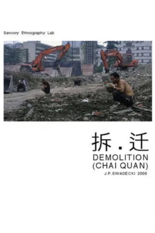 Movie poster for Demolition (2008)