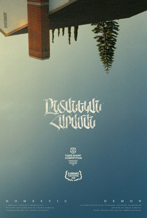 Movie poster for Domestic Demon (2026)