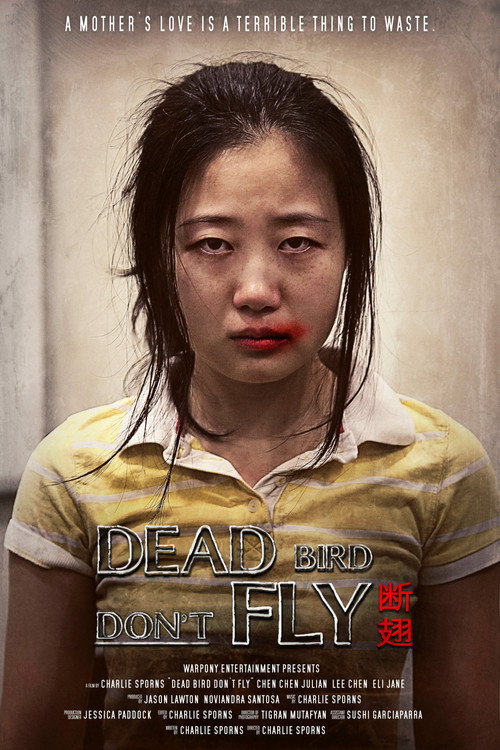 Movie poster for Dead Bird Don't Fly (2015)