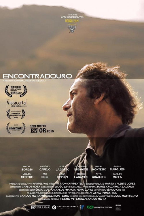Movie poster for Encontradouro (2014)
