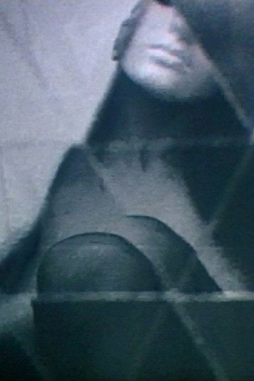 Movie poster for 1969 Exhibit (1969)