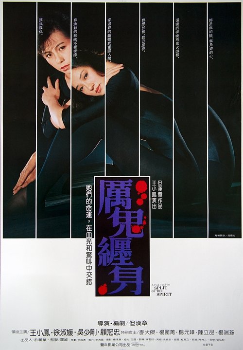 Movie poster for Split of the Spirit (1987)