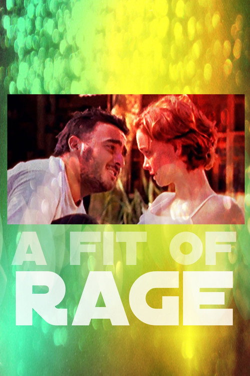Movie poster for A Fit of Rage (1999)