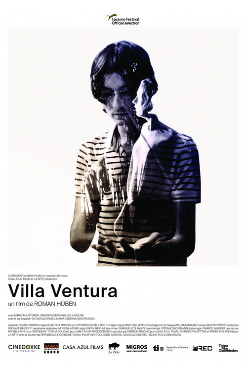 Movie poster for Villa Ventura (2017)