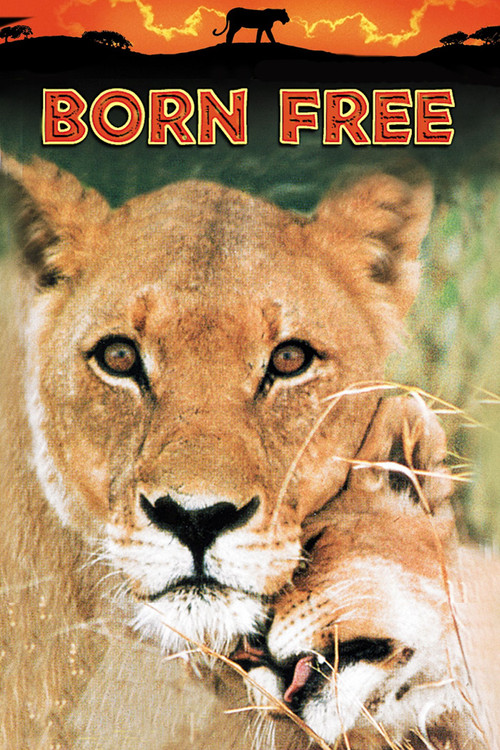 Born Free poster