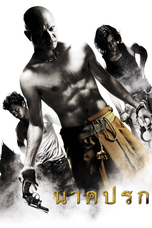 Movie poster for In the Shadow of the Naga (2010)