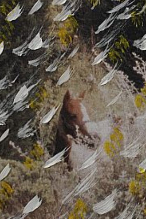 Movie poster for Valdediós (2020)