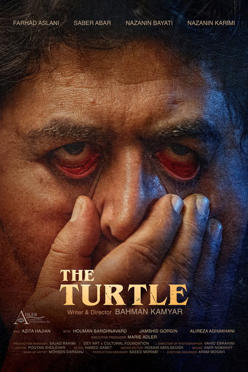 Movie poster for The Turtle (2025)