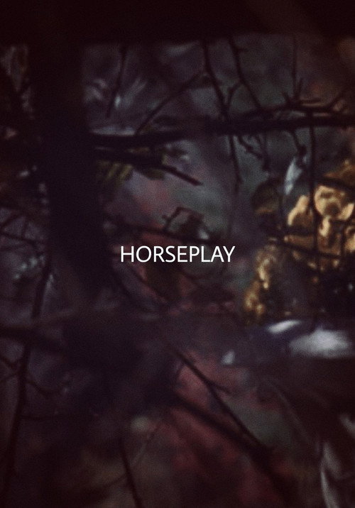 Movie poster for Horseplay (2017)