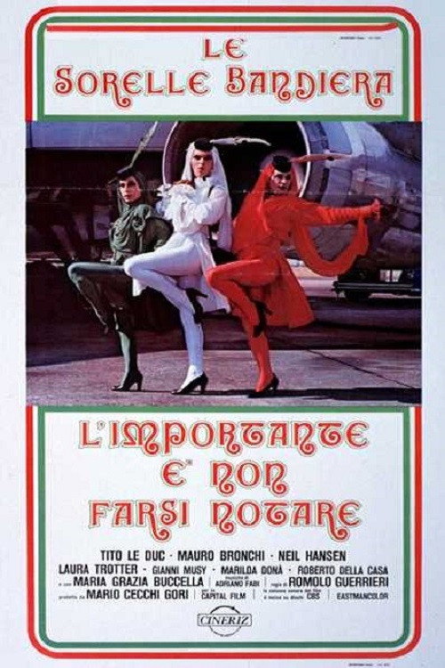 Movie poster for L'importante è non farsi notare (1979)