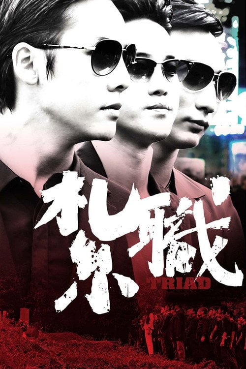 Movie poster for Triad (2012)
